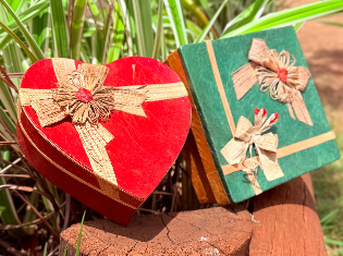 EDNA FERNANDES (FIBRAS)