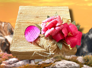 VERA LUCIA BERTATI BORTOLI (FIBRAS)