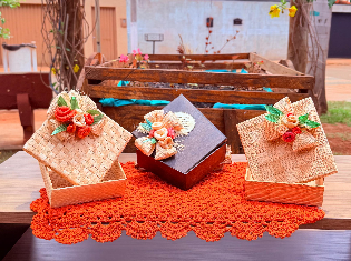 MIRELLE LOPES CABRAL (FIBRAS)