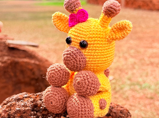 ELOAYNE SILVA RODRIGES (CROCHÊ)