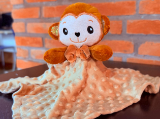 JOSILENE SIQUEIRA DA SILVA (BORDADO)