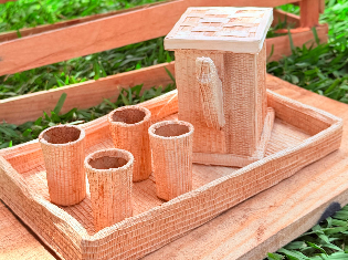 LAURIENE DE JESUS OLIVEIRA (FIBRAS)