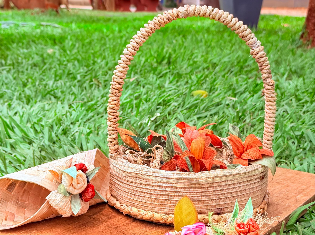 EDILAINE FERREIRA SANTOS (FIBRAS)