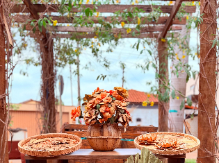 SEBASTIANA CARRILHO DE CASTRO CAVALCANTE (FIBRAS)