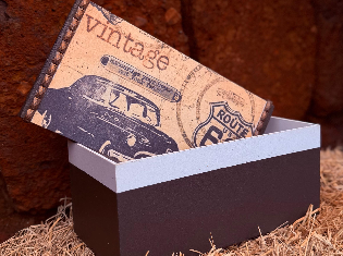 DENISE MARCELANE DE SOUSA MOURA (ARTESANATO EM MDF)