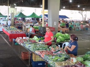 Bairro Popular no Terminal dos Trabalhadores