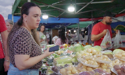 Imagem ilustrativa do card: Feiras