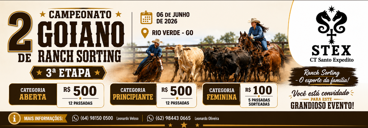 Evento 8